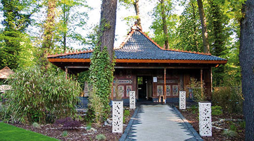 sauna pagodensauna 1